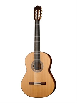 JMFSOLOIST700 Классическая гитара Soloist 700 4/4, Prodipe JMFSOLOIST700 - фото 17431