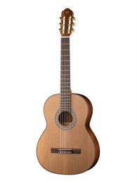 SCLCEDCTNT Silena Классическая гитара, NewTone SCLCEDCTNT