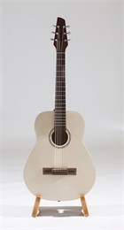 RHNG6A017 Акустическая гитара, Neva Guitars RHNG6A017