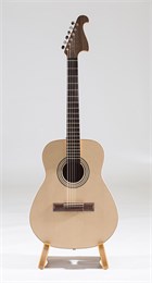 RHNG6B017 Акустическая гитара, Neva Guitars RHNG6B017
