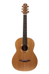 N17GAASNRW №17 Акустическая гитара, NewTone N17GAASNRW