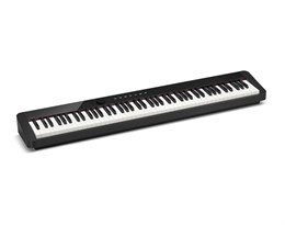 PX-S1000BK Privia Цифровое пианино со стойкой, черное (2 коробки), Casio PX-S1000BK