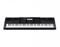 Синтезатор Casio WK-7600, 76 клавиш WK-7600 - фото 16645