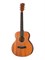 FFG-MINI1 Акустическая гитара, Foix FFG-MINI1 - фото 17780