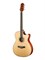 TG220CNA Акустическая гитара с вырезом Naranda TG220CNA - фото 17854