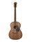 LAG3W-WA24 LAG3W Акустическая гитара со звукоснимателем, MIG Guitars LAG3W-WA24 - фото 17880