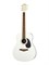 AG2-WH24 AG-2 Акустическая гитара, MIG Guitars AG2-WH24 - фото 17920
