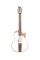 SG4WA23 SG4 Сайлент-гитара, орех, MIG Guitars SG4WA23 - фото 17980