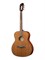 JMFSGA200 Акустическая гитара Kopo Series SGA200, Prodipe JMFSGA200 - фото 18000