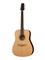 D1SML45NT D1 S ML Nt Акустическая гитара из массива, NewTone D1SML45NT - фото 18079