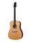 D1SML43NT D1 S ML NT Акустическая гитара из массива, NewTone D1SML43NT - фото 18080