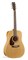 027347 Protege B18 Cedar Left Presys Электро-акустическая гитара, леворукая, Norman 027347 - фото 18102