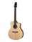 GASOLС45N GA S OL N Акустическая гитара из массива, c вырезом, NewTone GASOLС45N - фото 18112