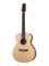 GASMY48N GA S MY N Акустическая гитара из массива, NewTone GASMY48N - фото 18114