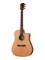 M20C Steel String Series Акустическая гитара, с вырезом, Kremona M20C - фото 18144
