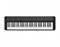 CT-S1BK Синтезатор 61 клавиша, с пюпитром, черный, Casio CT-S1BK-1 - фото 18239