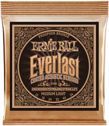 ERNIE BALL 2546 Everlast Coated Phosphor Bronze Medium Light 12-54 Струны для акустической гитары 2546