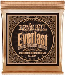 ERNIE BALL 2544 Everlast Coated Phosphor Bronze Medium 13-56 - Струны для акустической гитары P02544